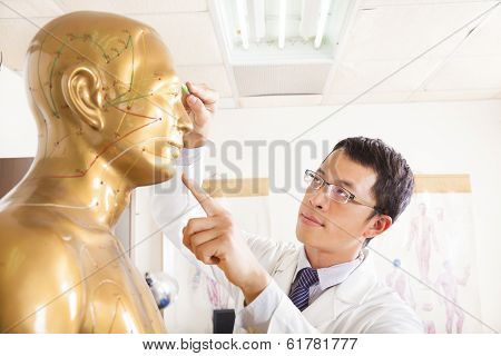 Chinese Medicine Doctor Point  Acupoint On Human Model
