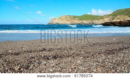 Pebbles And Seaweeds