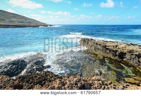 Rocky Shore With Waves