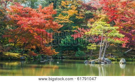 Kyoko-chi Pond at Kinkakuji Temple in Kyoto