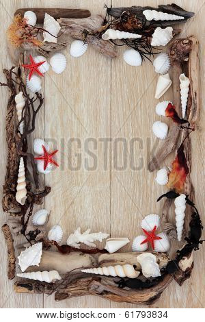 Sea shell, driftwood and seaweed abstract border design over old oak background.