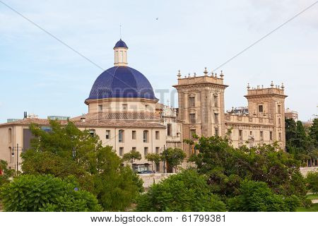 Museu de Belles Arts de Valencia
