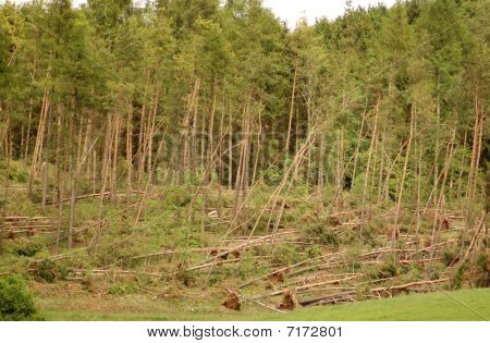 After The Hurricane.