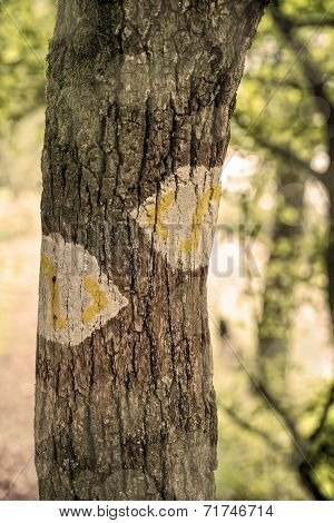 Hiking trail marking in a forest