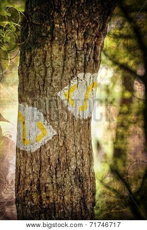 Hiking trail markings