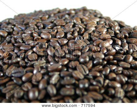 Hill_of_Beans