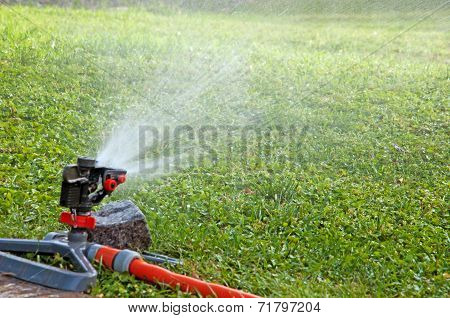 Watering The Lawn On A Hot Day
