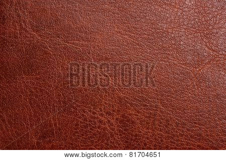 Brown leather background