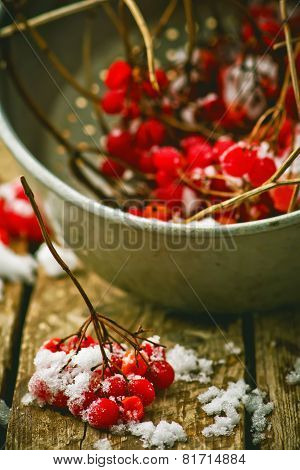 Fresh Berries Of A Guelder-rose In A Glass Cup On A Wooden Table.