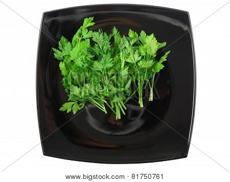 Fresh Parsley On White Background. Isolated