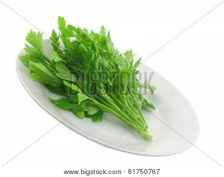 Fresh Parsley On White Background. Isolated