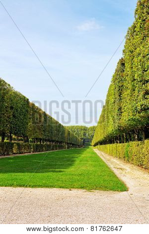 Green Archway In A Garden. Beautiful Versailles , France