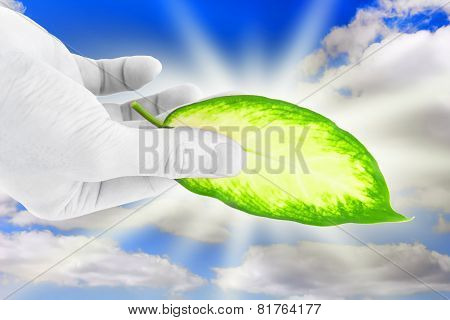 Green Leaf In Black-white Hand.isolated