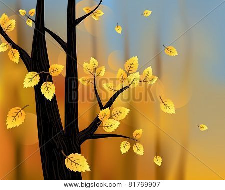 Autumn background