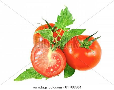 Lush Tomatos With Green Leafs. Isolated