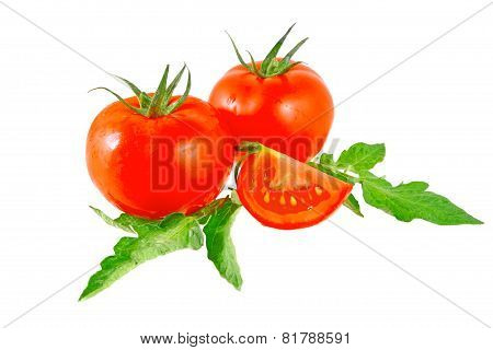 Lush Tomatos With Green Leafs. Isolated