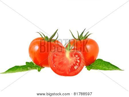 Lush Tomatos With Green Leafs. Isolated