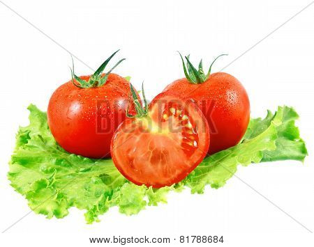 Lush Tomatos With Green Leafs. Isolated
