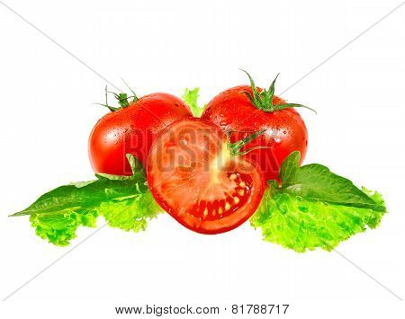 Lush Tomatos With Green Leafs. Isolated