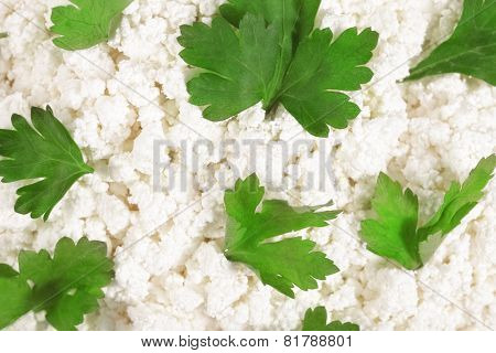 Fresh Cottage Cheese (curd) Heap With Parsley, Isolated On White Background .