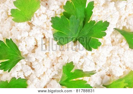 Fresh Cottage Cheese (curd) Heap With Parsley, Isolated On White Background .