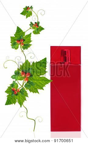 Bottle For Perfumery With Foliage