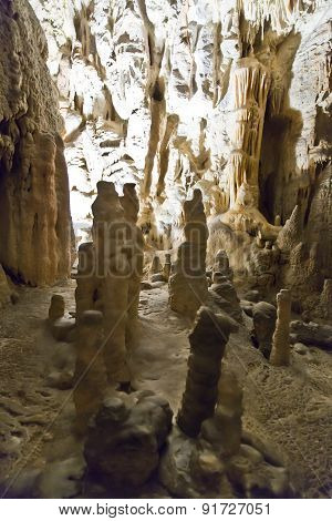 Postojna Cave