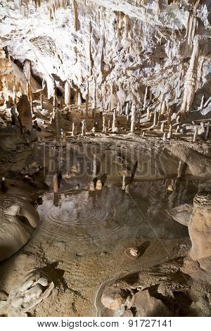 Postojna Cave