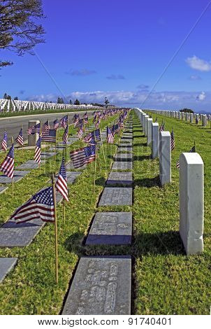 Flags And Grave Markers