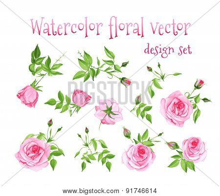 Watercolor Pink Roses Vintage Vector Design Set