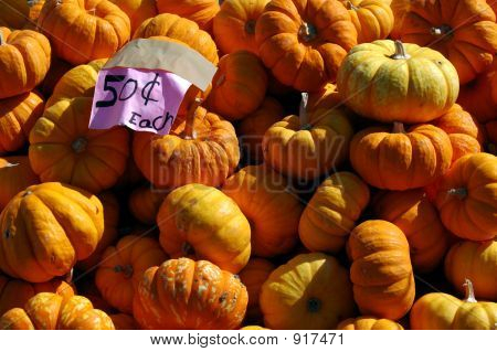 Pumpkins For Sale