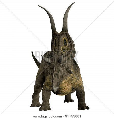 Diabloceratops Dinosaur Horns