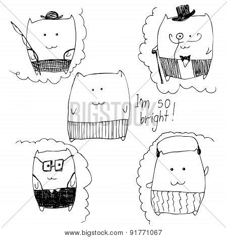 Funny Cats