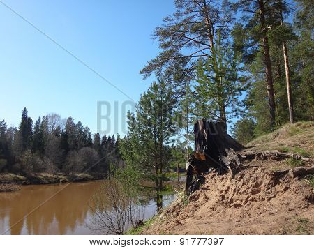 River with brown water