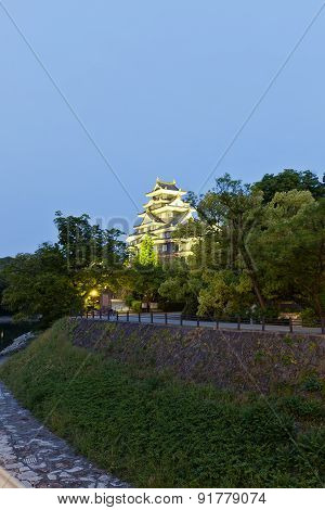 Okayama Castle At Night, Japan