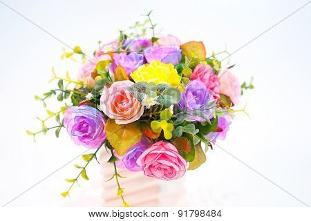 Flower Colorful On White Blackground