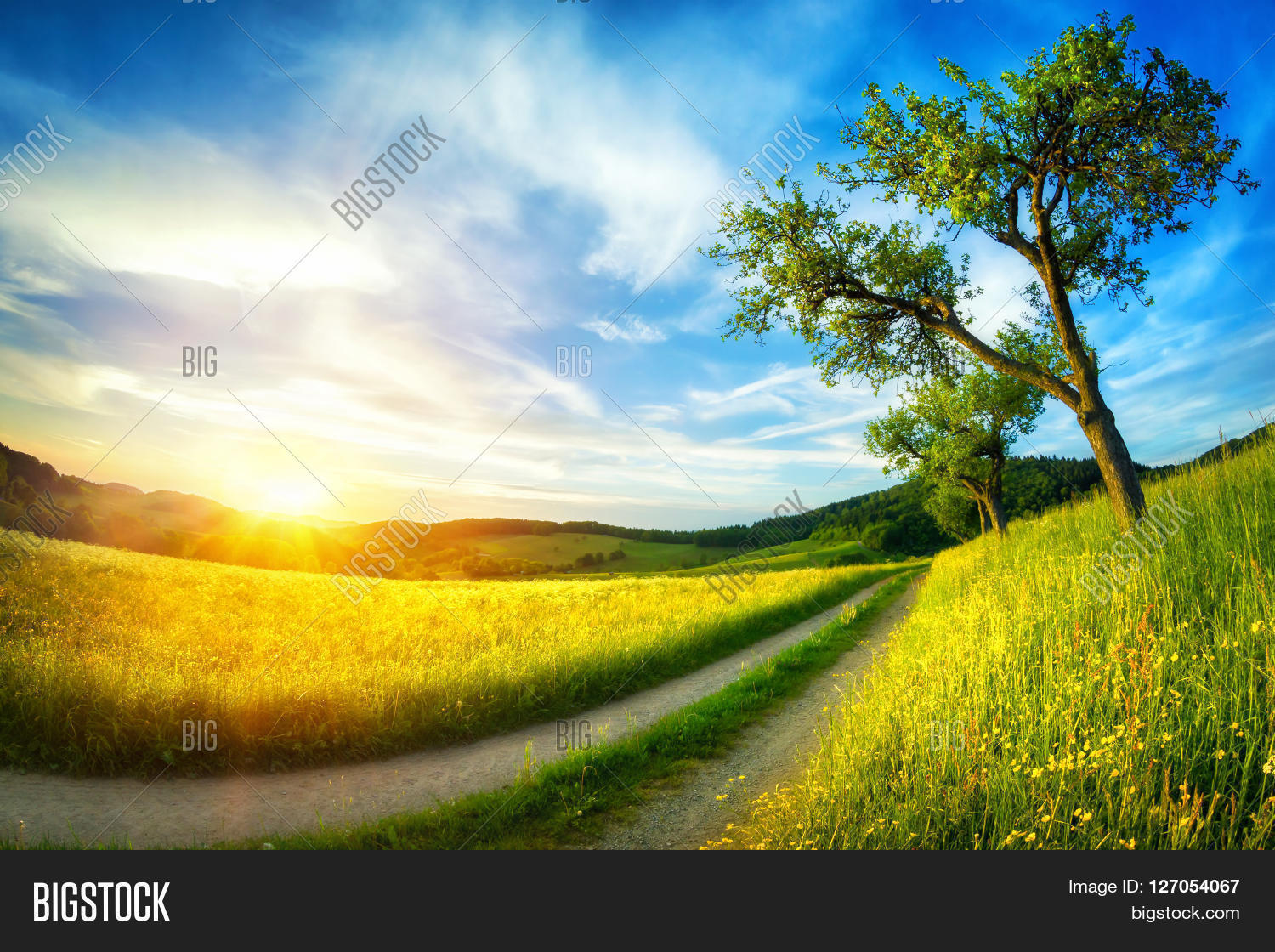 Idyllic Rural Image & Photo (Free Trial) Bigstock