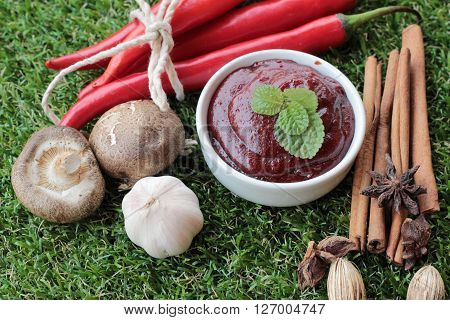 Korean red pepper gochujang for cooking on the grass
** Note: Soft Focus at 100%, best at smaller sizes