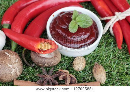 Korean red pepper gochujang for cooking on the grass
** Note: Soft Focus at 100%, best at smaller sizes