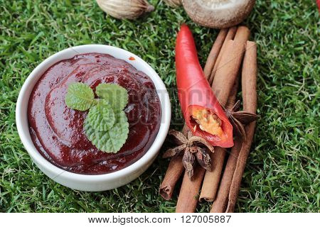 Korean red pepper gochujang for cooking on the grass
** Note: Soft Focus at 100%, best at smaller sizes