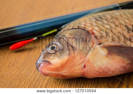 carp with fishing tackle on the wooden background
** Note: Soft Focus at 100%, best at smaller sizes