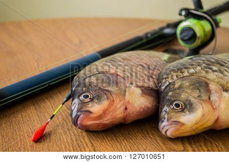 carp with fishing tackle on the wooden background