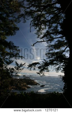 268_6833