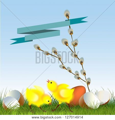 Cute chicks with spring flower against the blue sky
