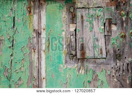 Green weathered and ruined wood ancient door