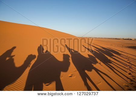Camal caravan on a Nomad trip through sand desert