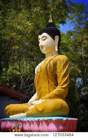 Buddha
