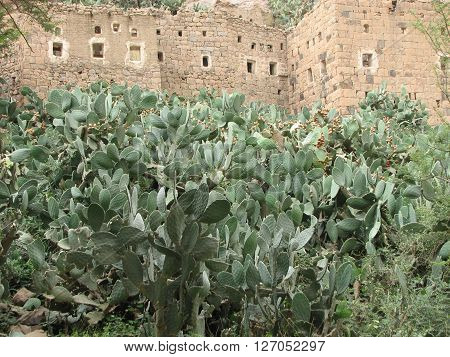 Old Yemeni village built in 1199 Hejira