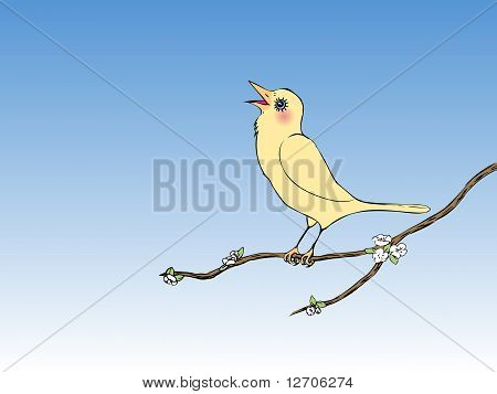 Oiseau chanteur