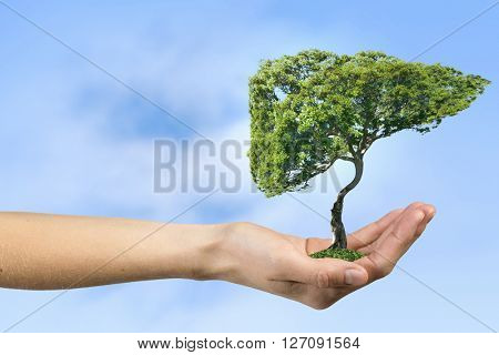 Green eco life 